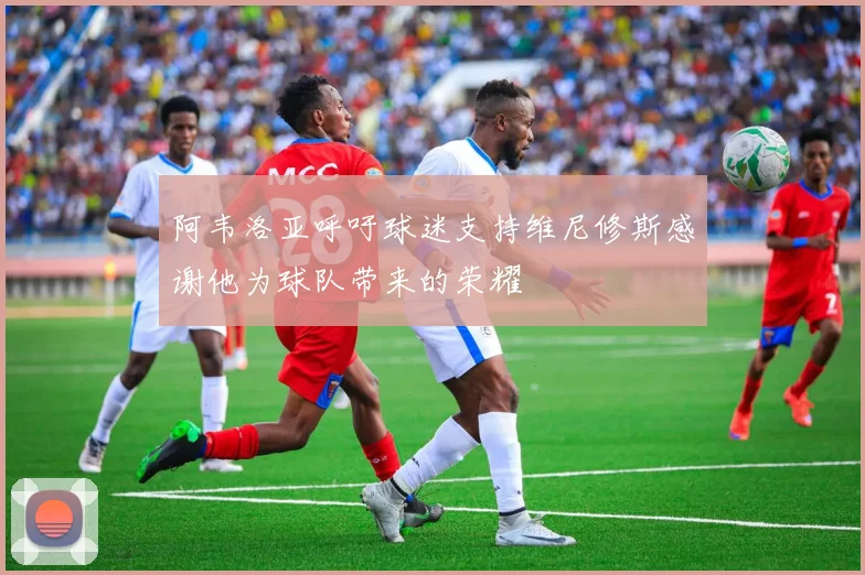 阿韦洛亚呼吁球迷支持维尼修斯感谢他为球队带来的荣耀