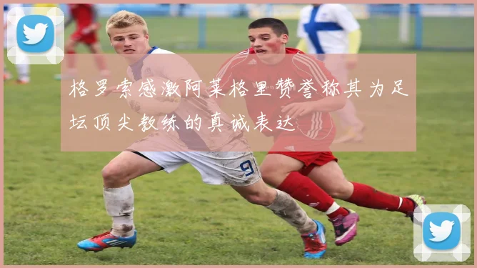 格罗索感激阿莱格里赞誉称其为足坛顶尖教练的真诚表达